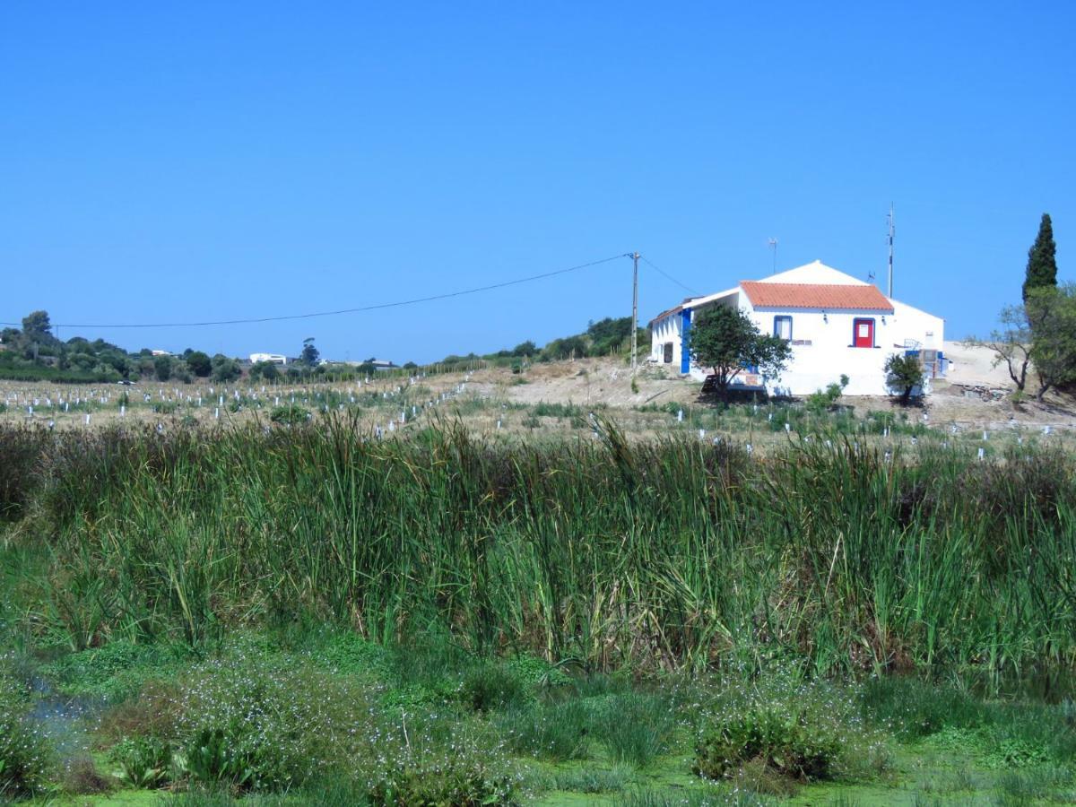 Vale Do Boto-Quinta Com 3 Casas Vila Castro Marim Exterior foto